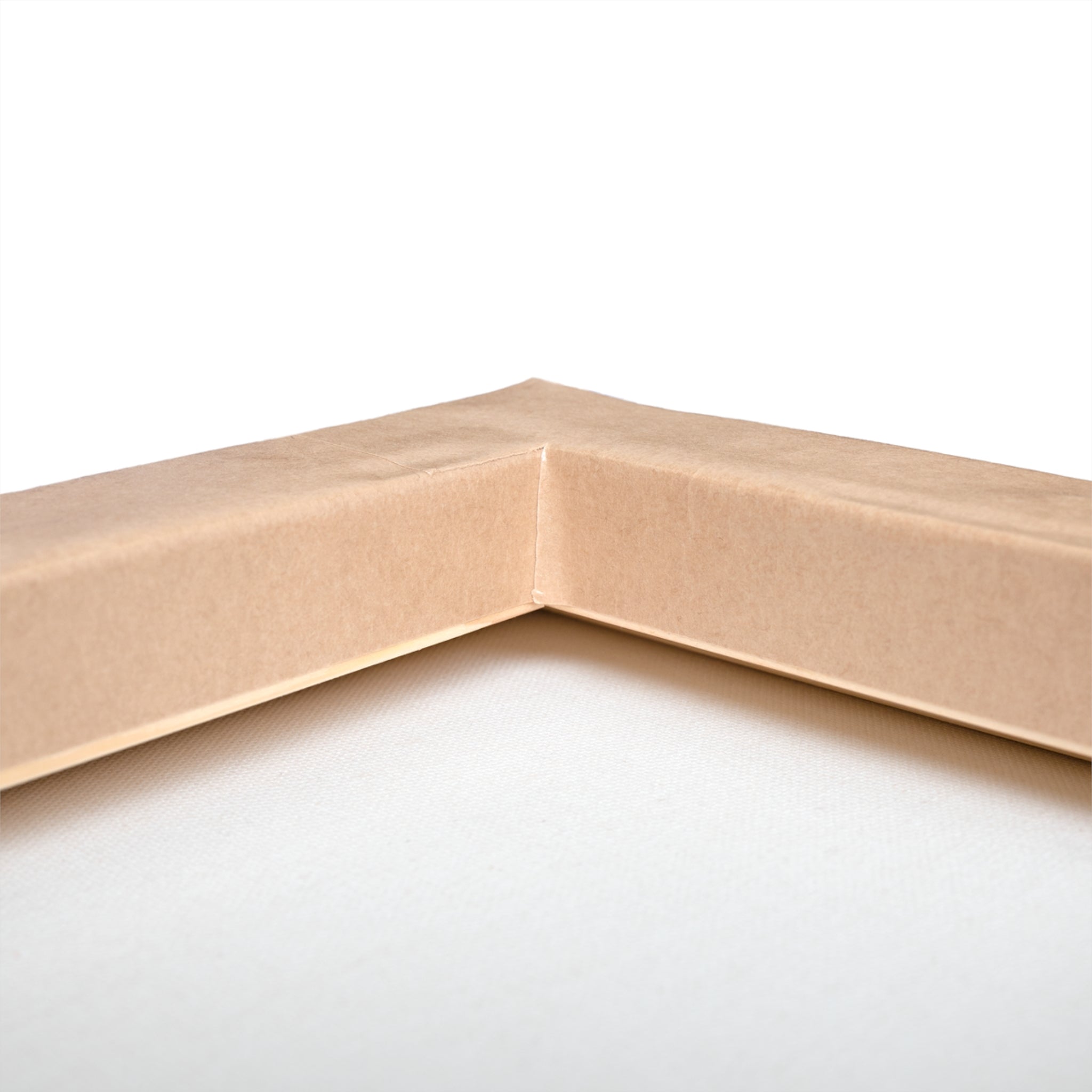 Show Some Ash - Stretched Canvas